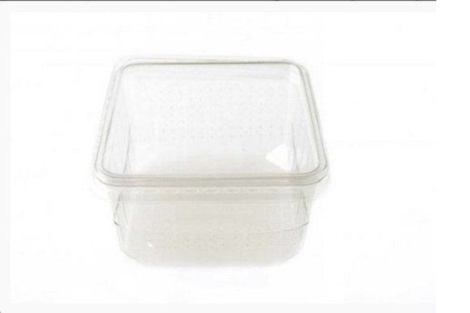 Boite a grillon vide  x10