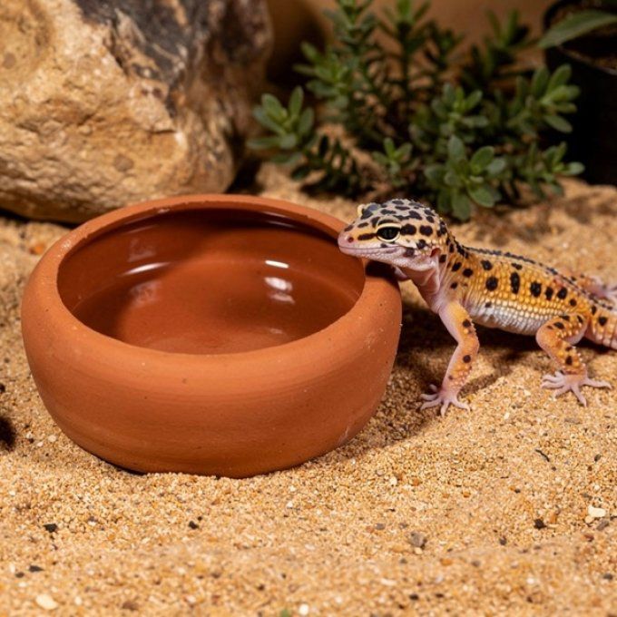 Bol ceramique 125ml/10cm