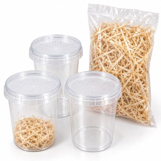 Kit Elevage drosophile