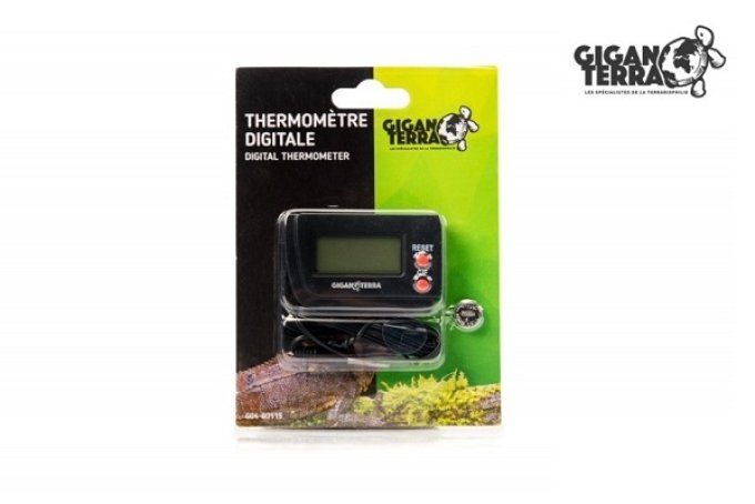 Thermometre digital