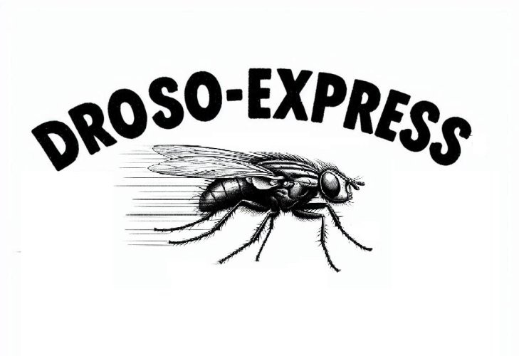droso-express.fr